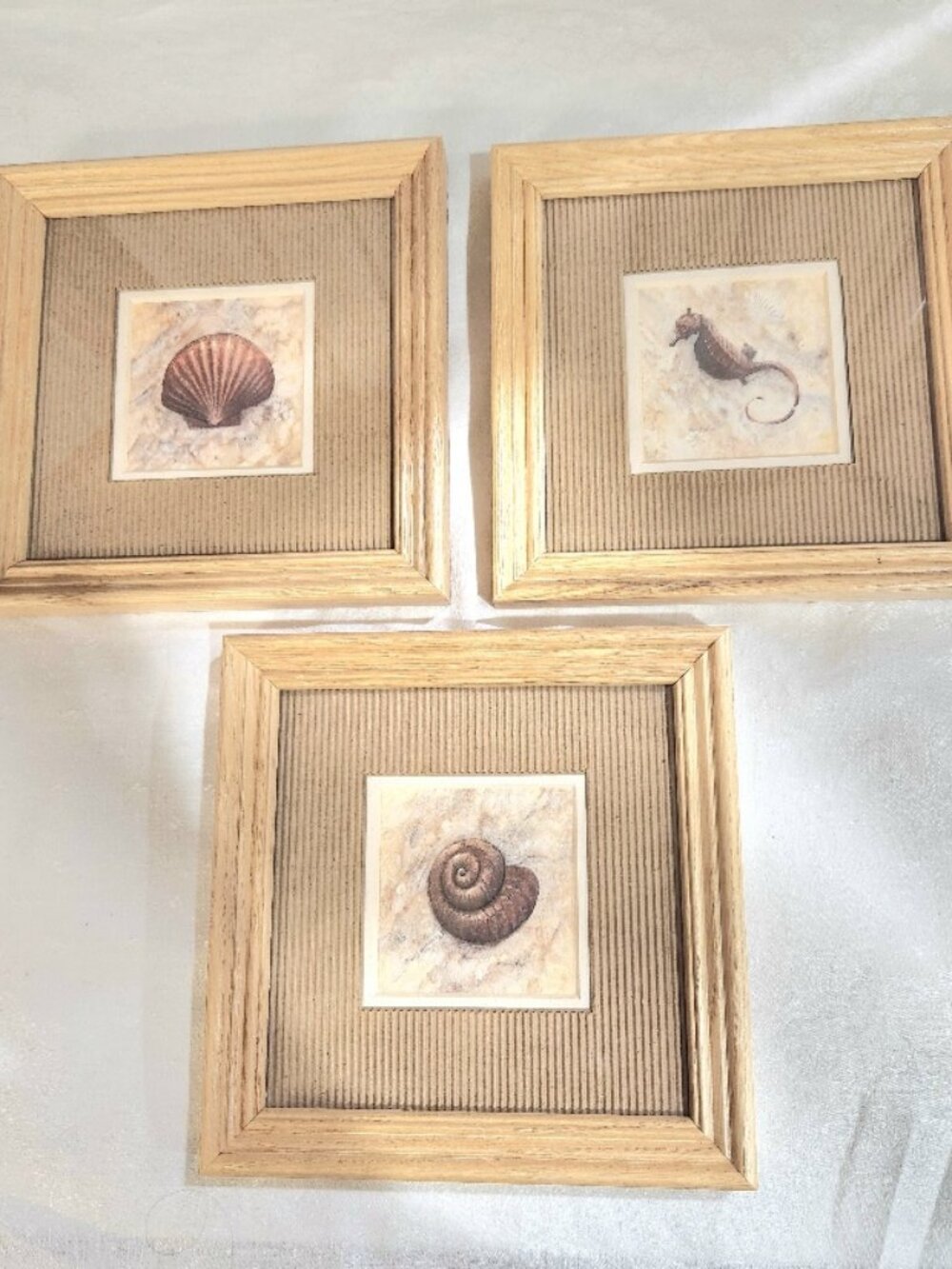 Set of 3 Seaside 7.25"x 7.25" Prints in Wooden Frames 1 Snail/1 Seahorse/ 1 Clam